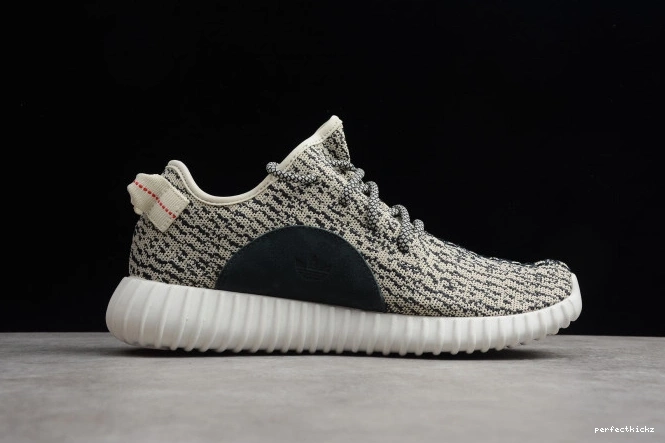 AQ4832 Boost Adidas YEEZY Dove 350 Turtle 0821